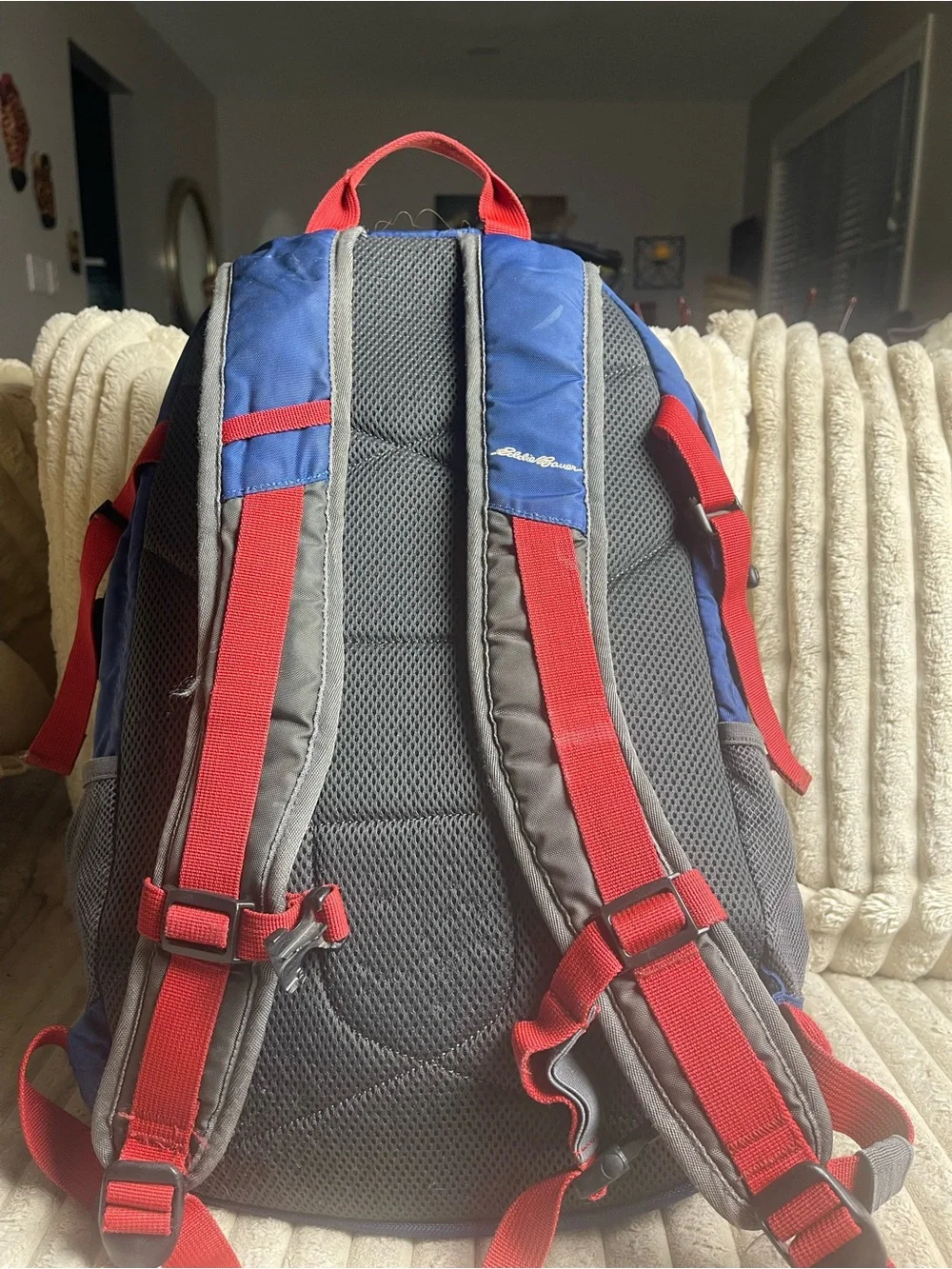 Eddie Bauer Blue, Gray and Red Trailhead Backpack